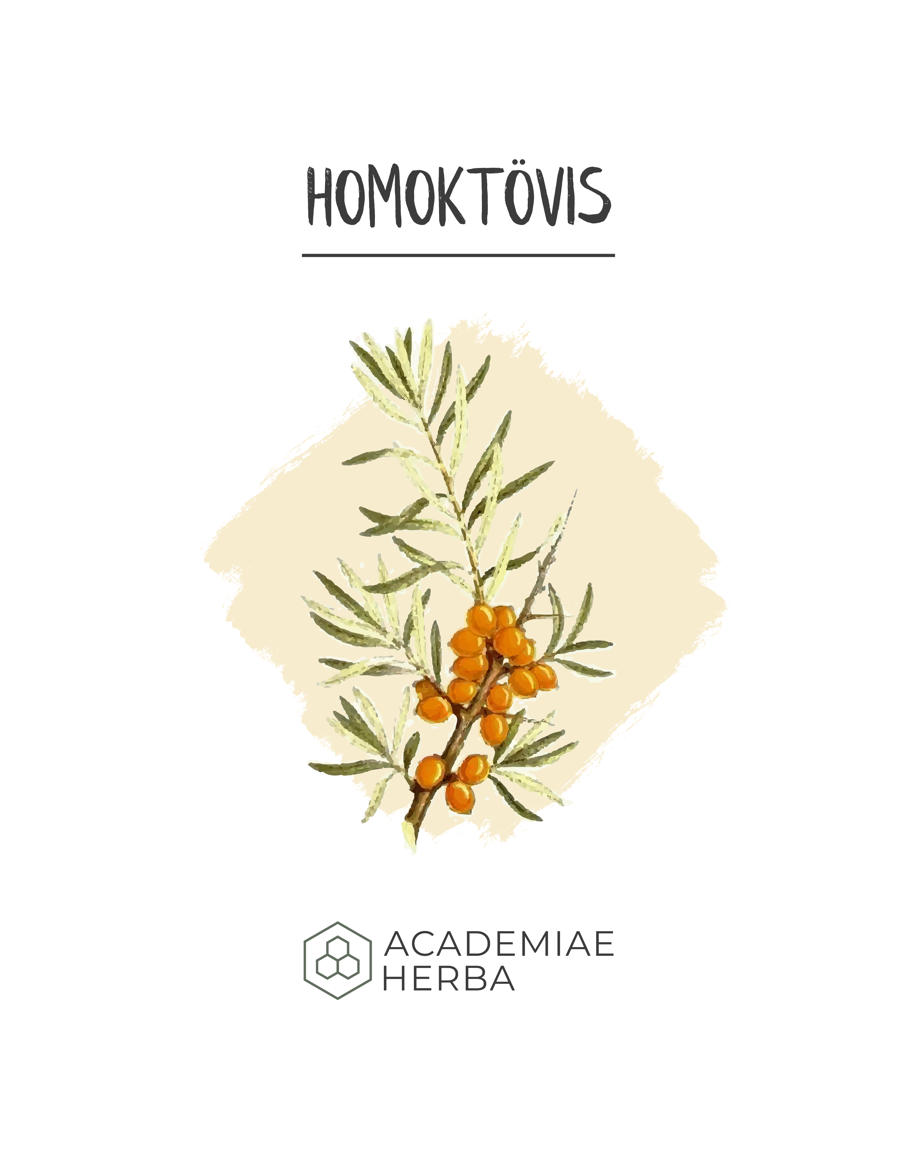 Read more about the article A Homoktövis Felemelkedése és…