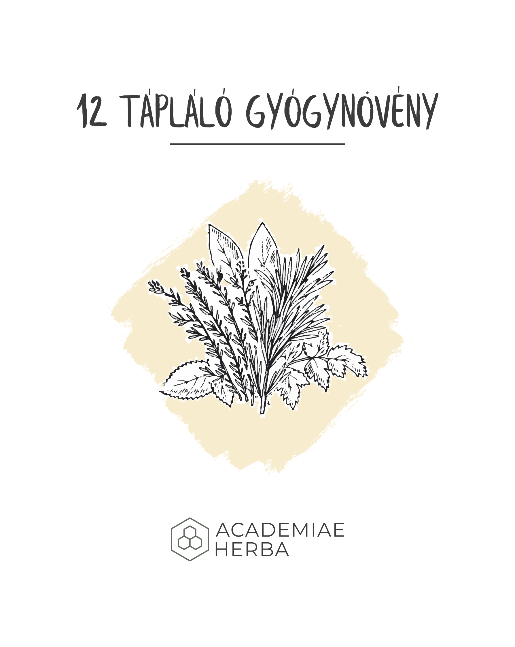 Read more about the article Gyógynövények Tele Vitaminokkal: A 12 Legtáplálóbb Gyógynövény Teákhoz.