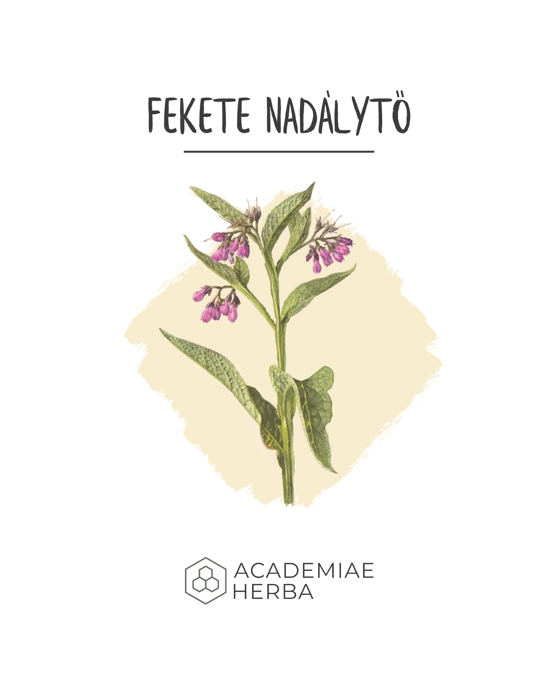Read more about the article Hogyan Ítél El a Modern Tudomány Egy Gyógynövényt. Fekete Nadálytő