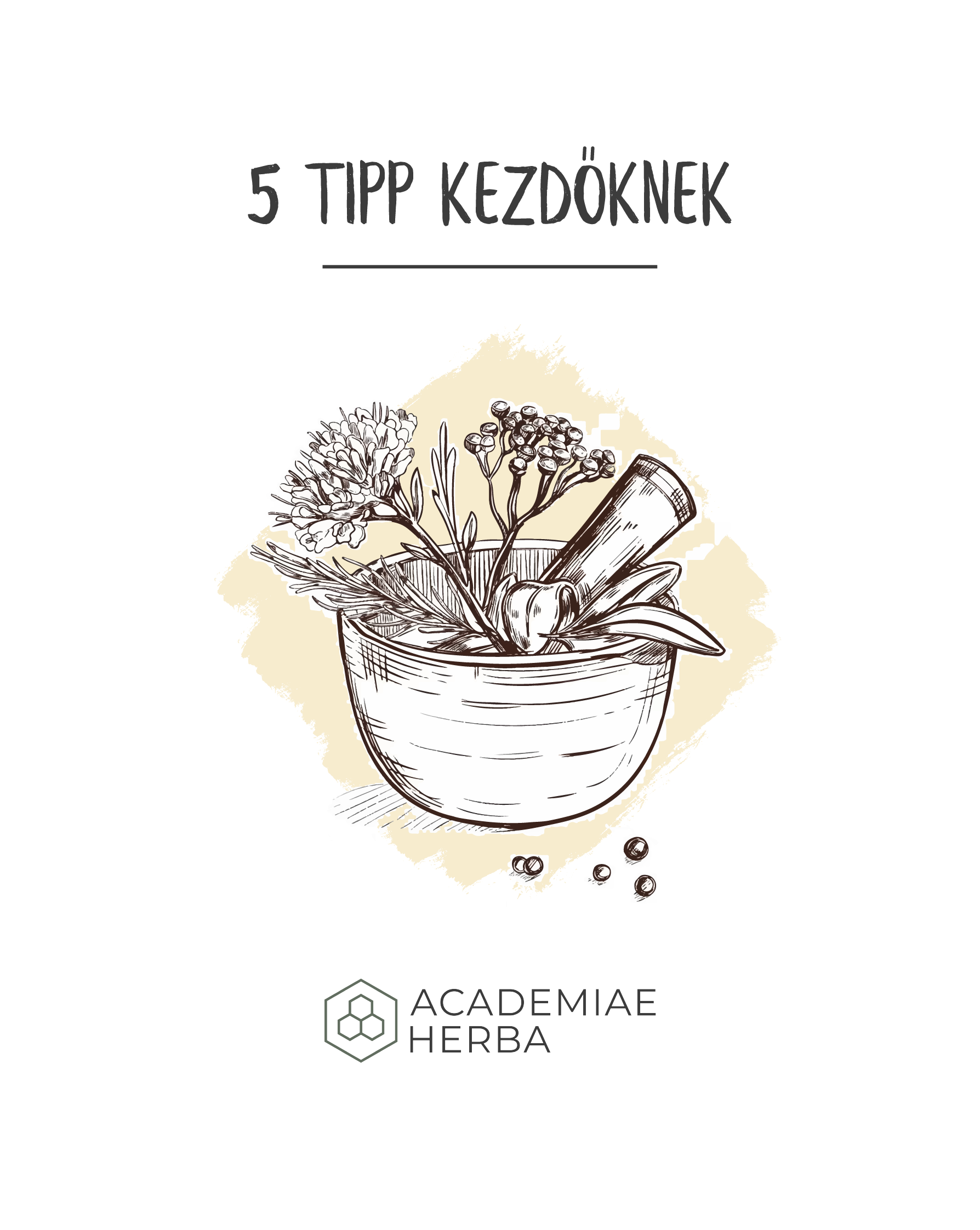 Read more about the article 5 Hasznos Tipp Hogyan Tanulj a Gyógynövényekről