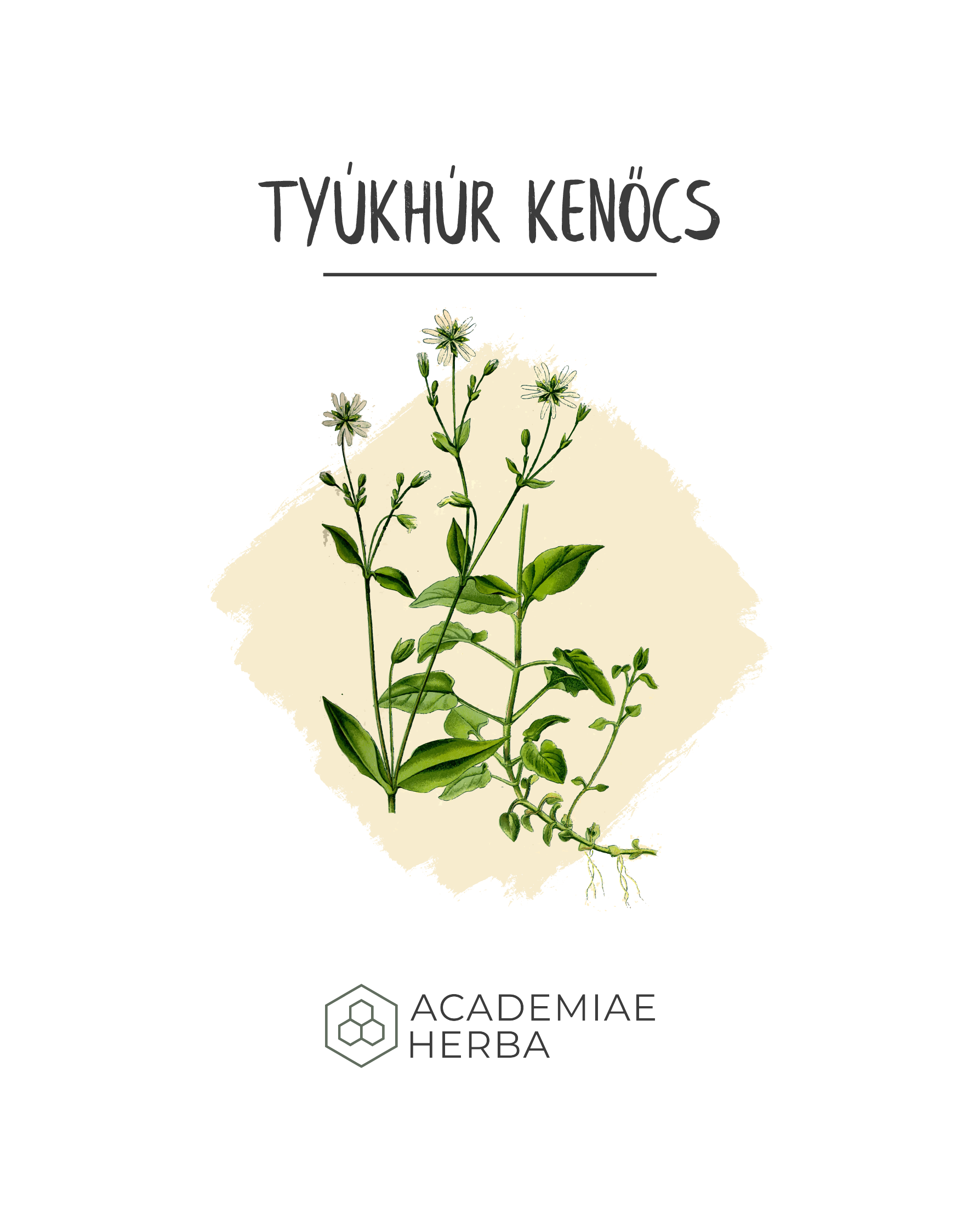 Read more about the article Recept: DIY Tyúkhúr Kenőcs