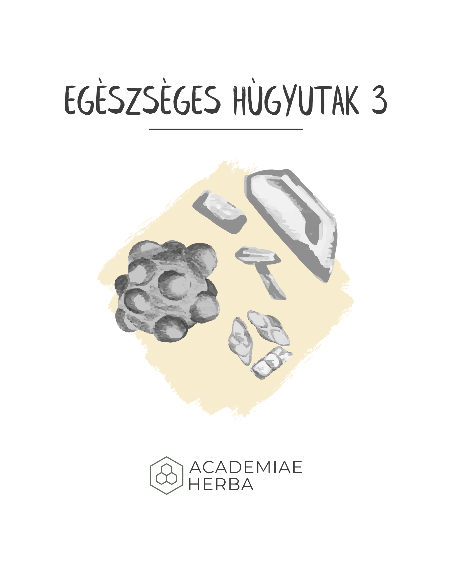 Read more about the article Hogyan Tartsd Egészségesen a Húgyutakat Gyógynövényekkel 3. rész