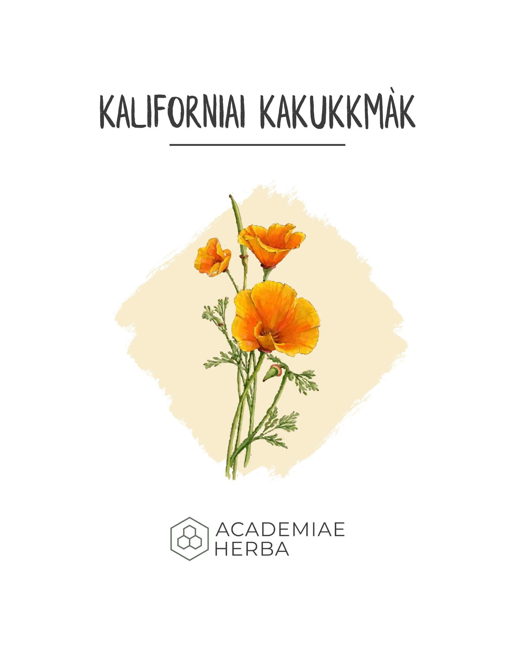 Read more about the article Egy Nyugtató Idegerősítő, Ami Ugyanolyan Erős, Mint Amennyire Gyengéd: Kaliforniai Kakukkmák