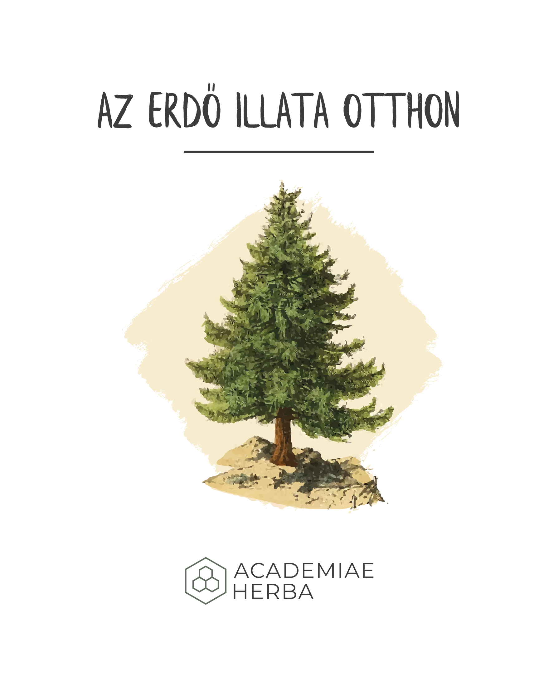 Read more about the article Amikor az Erdő Illata Elvarázsolja az Otthonodat: Erdő Pot-Pourri Recept