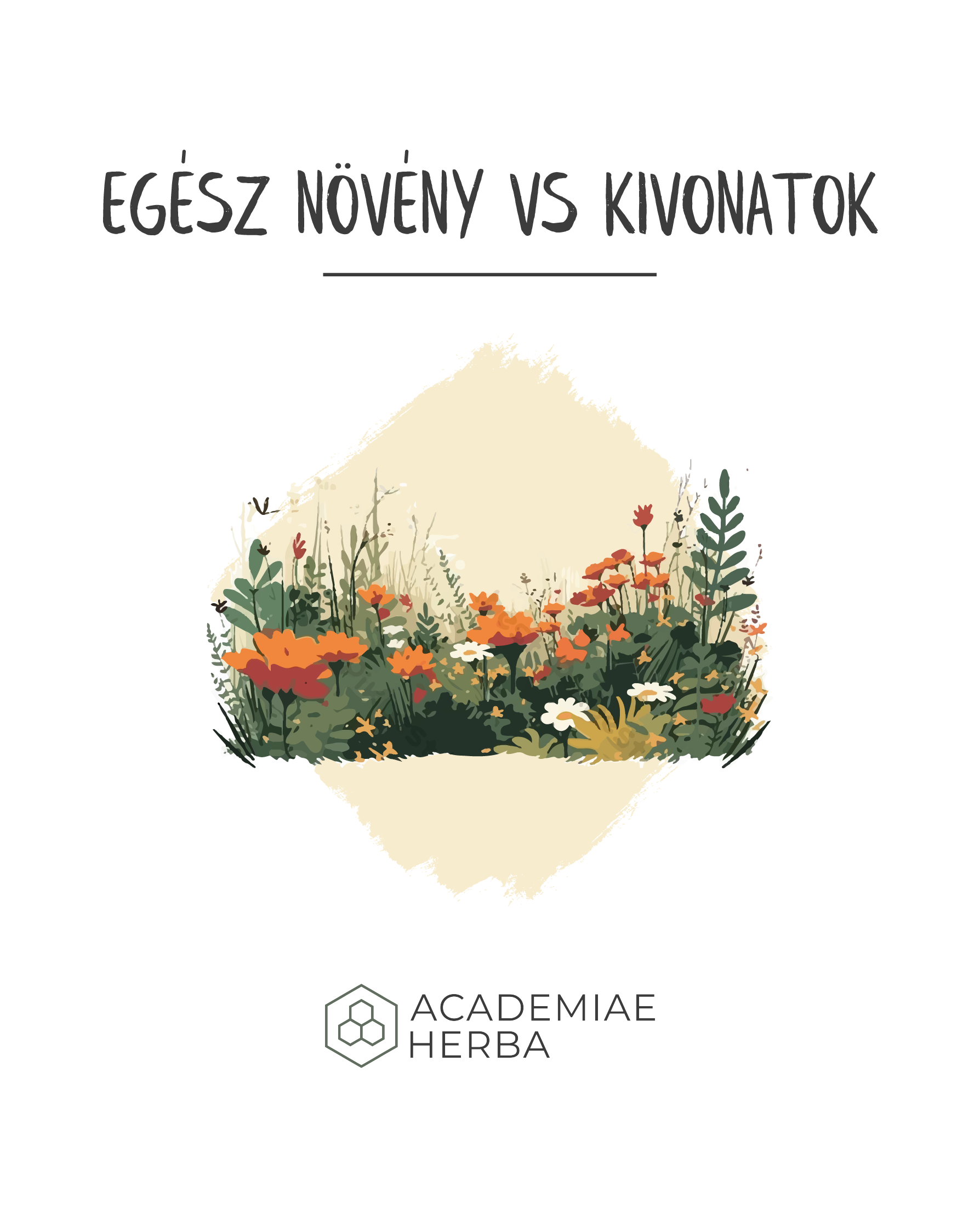Read more about the article Miért Használj Egész Növényeket Kivonatok Helyett