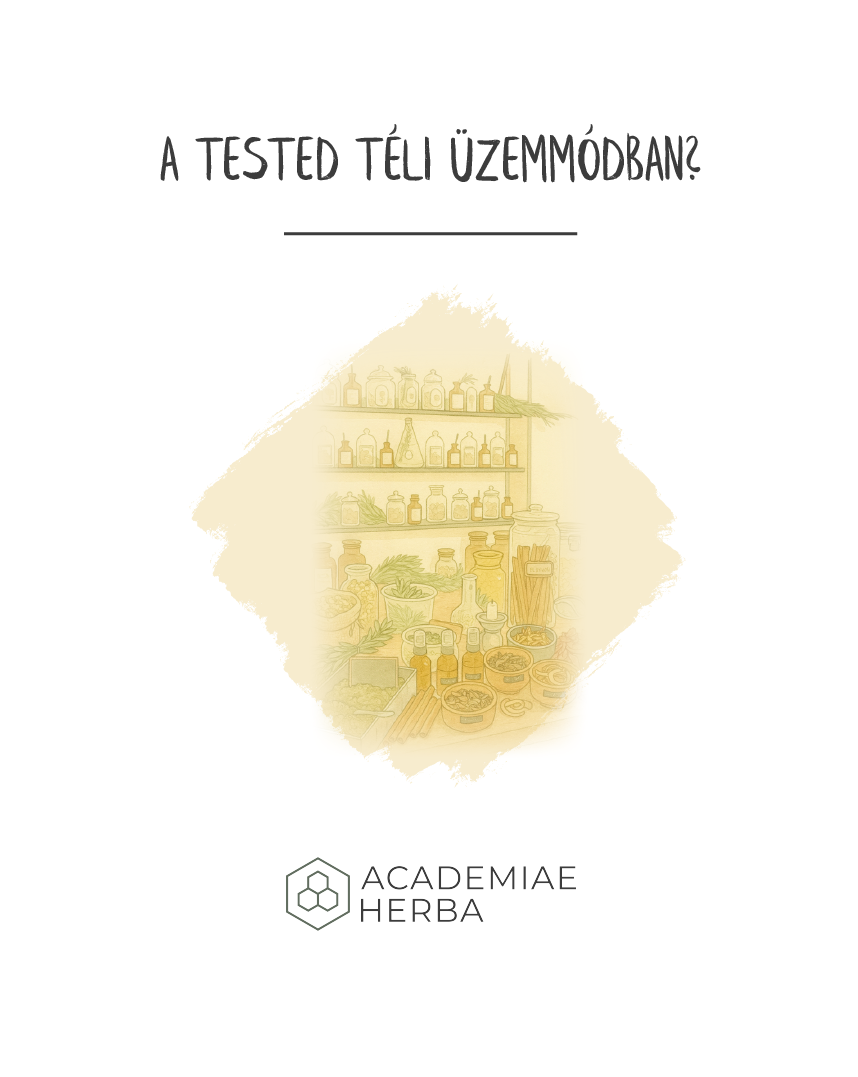 gyógynövények télen