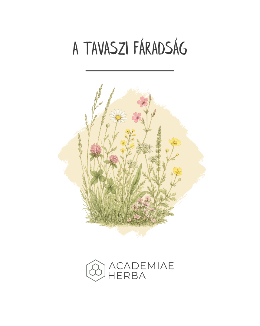 tavaszi faradsag